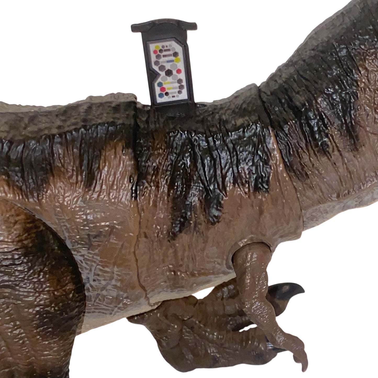 Mattel Jurassic World: Die Chaostheorie Chomp Chomp Allosaurus – Geräusche, 53 cm Geprüft